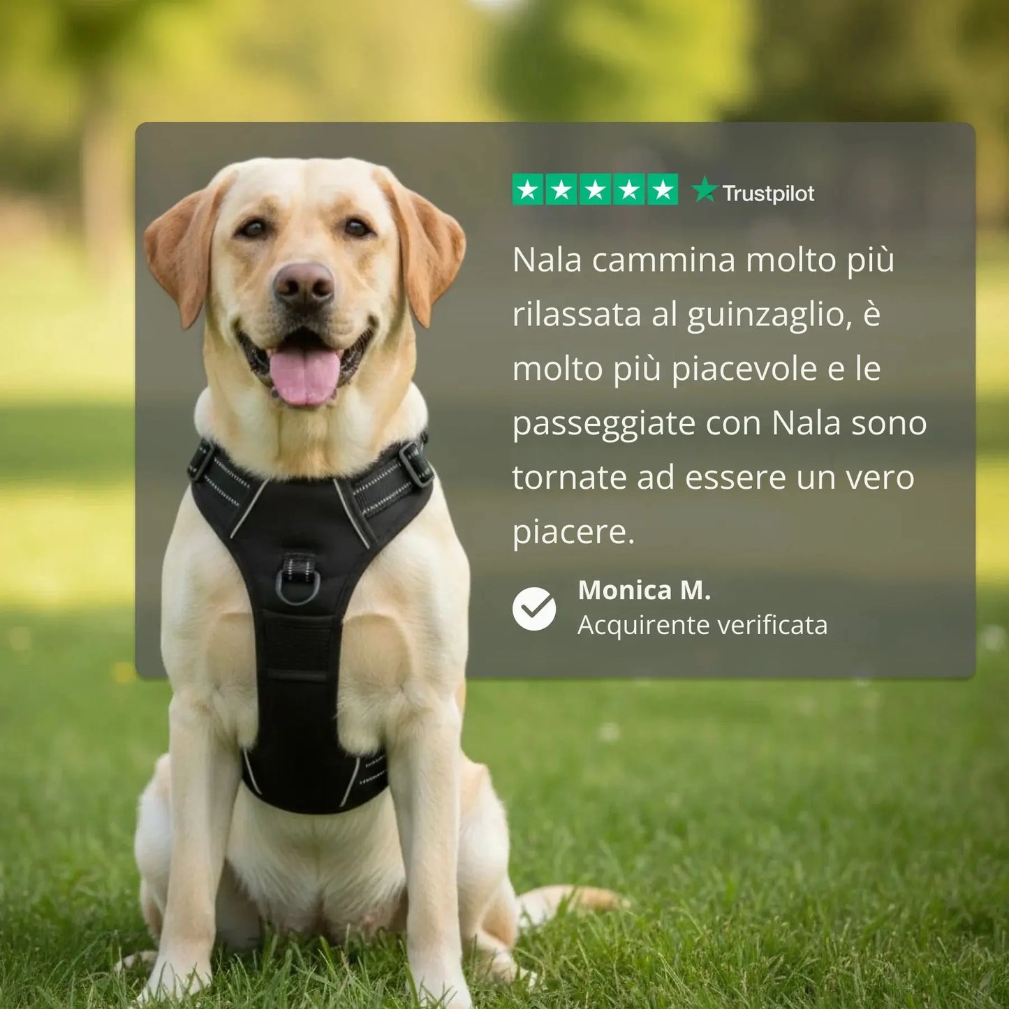 MIROLIA™ PETTORINA ANTI-TIRO