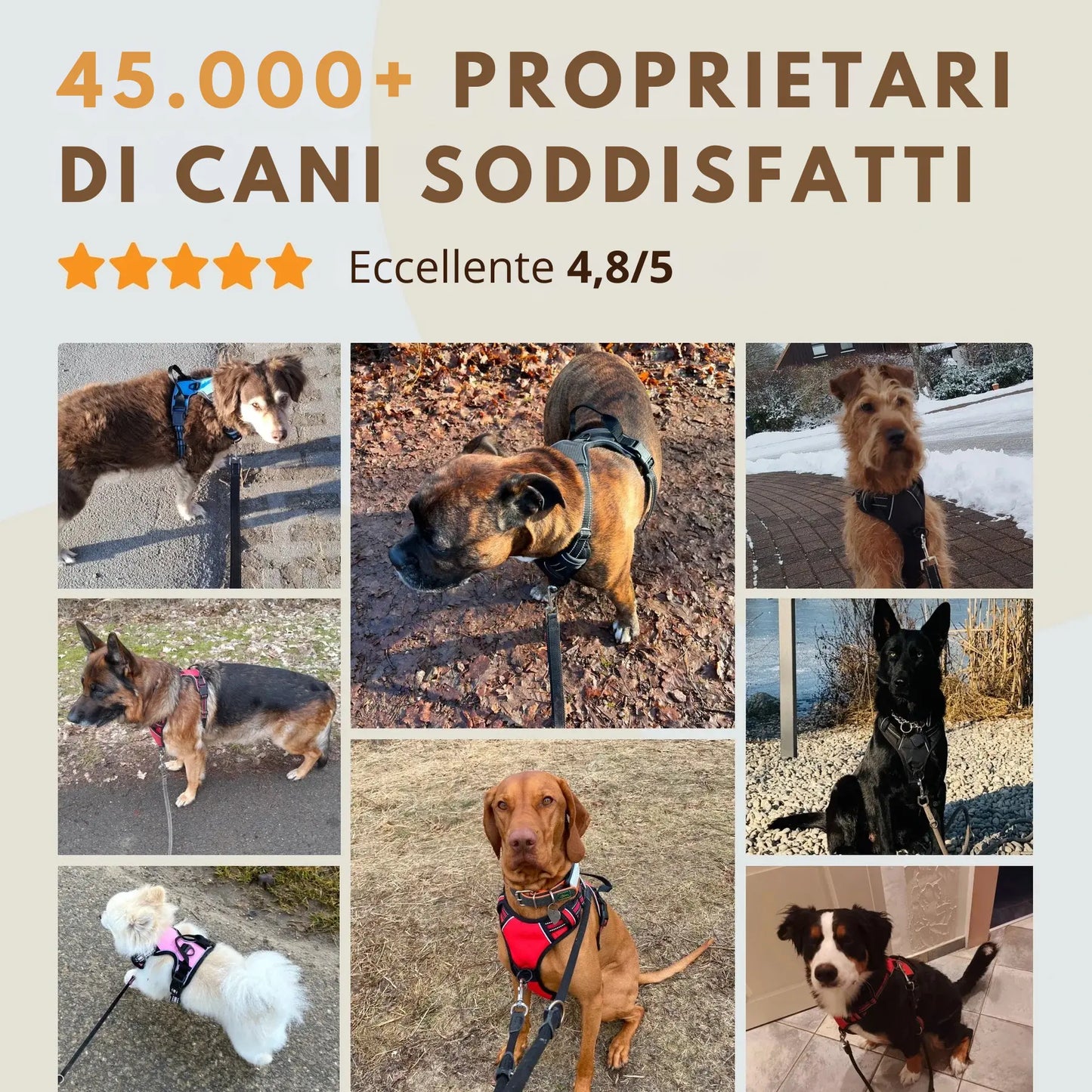 MIROLIA™ PETTORINA ANTI-TIRO