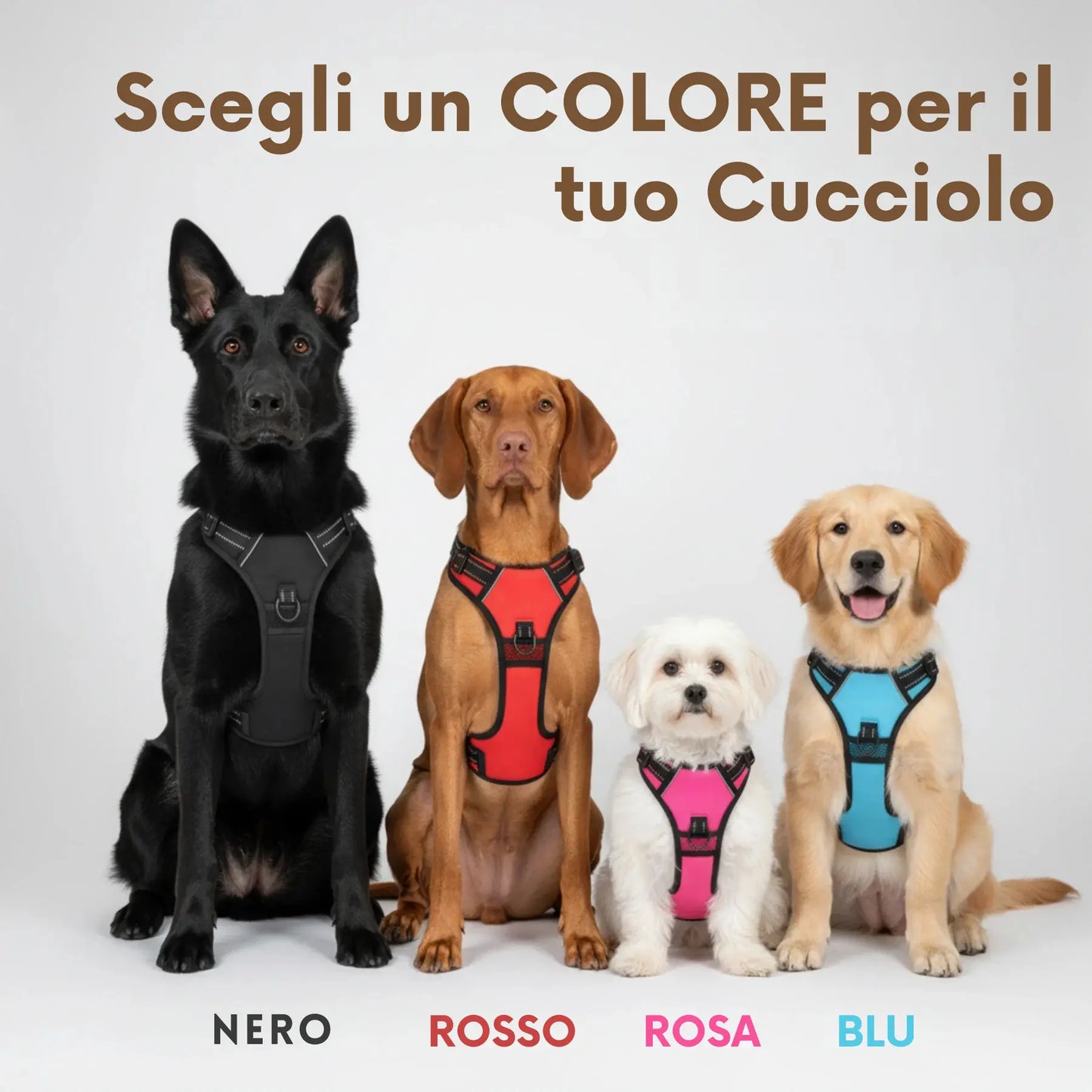 MIROLIA™ PETTORINA ANTI-TIRO