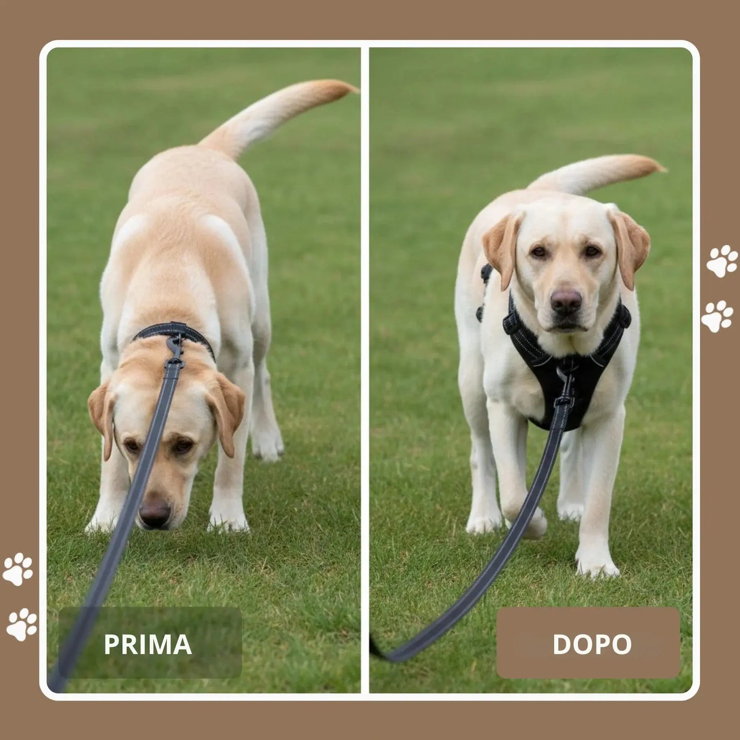 MIROLIA™ PETTORINA ANTI-TIRO
