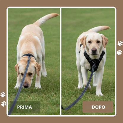 MIROLIA™ PETTORINA ANTI-TIRO