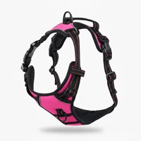 MIROLIA™ PETTORINA ANTI-TIRO