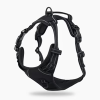 MIROLIA™ PETTORINA ANTI-TIRO